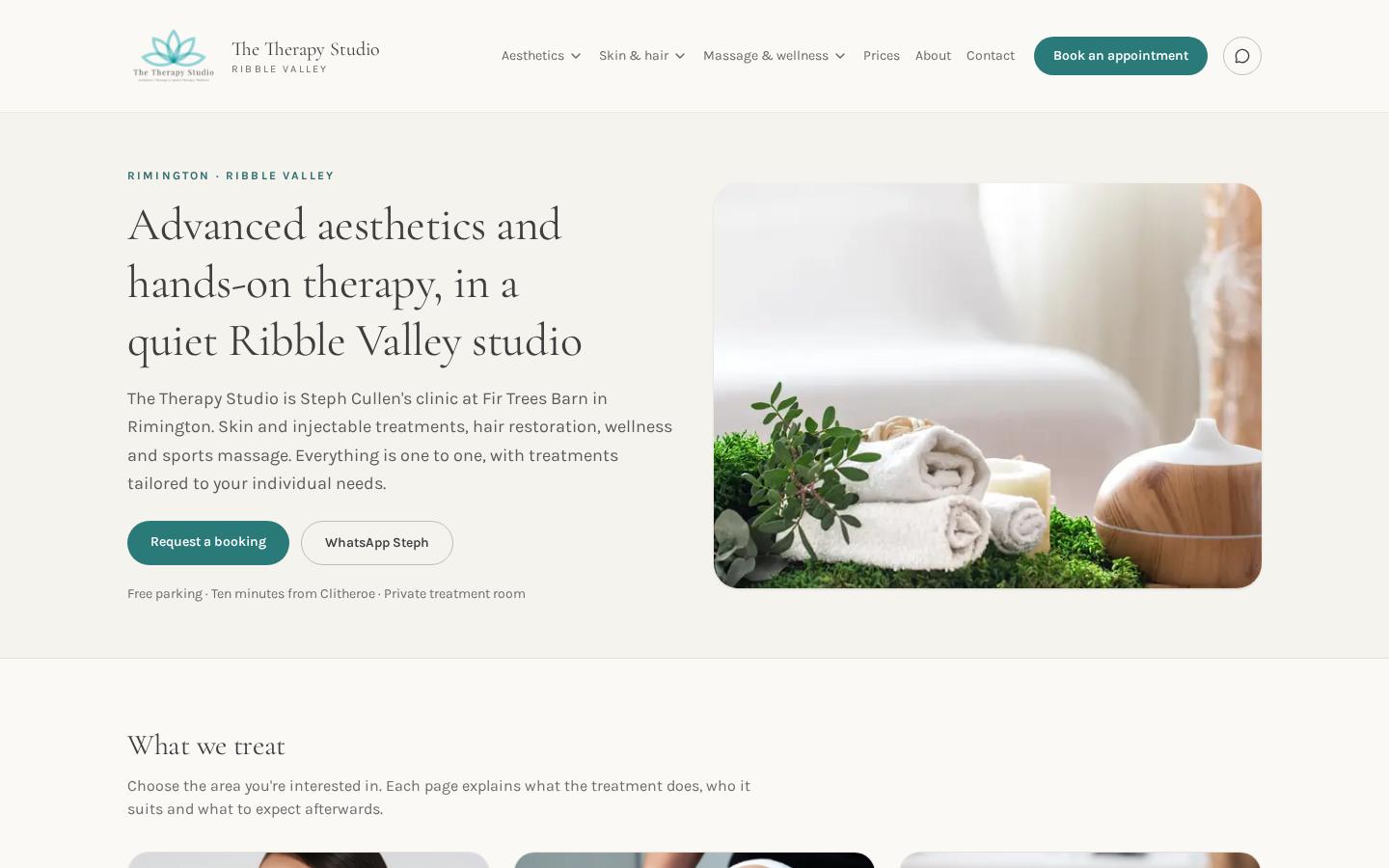 The Therapy Studio screenshot